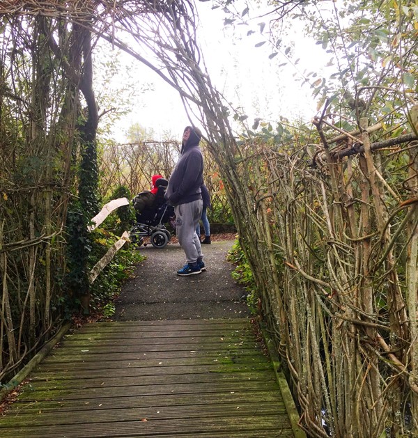 WWT Arundel Wetland Centre, Arundel