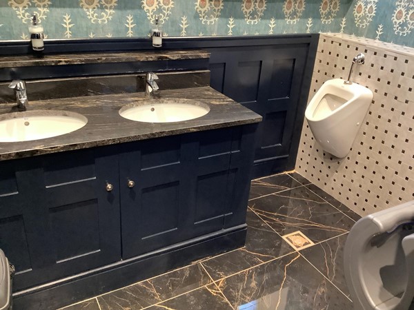 Picture of sinks and a urinal