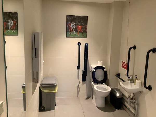 Picture of accessible toilet