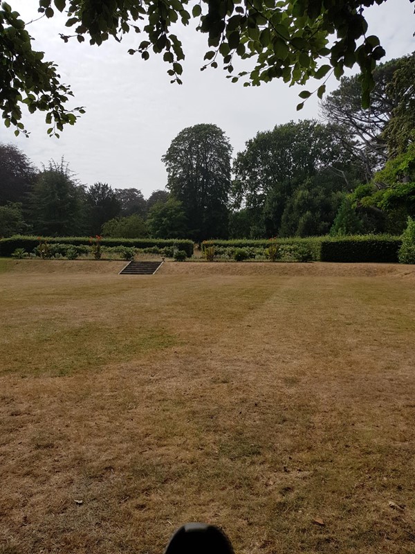 Picture of Walmer Castle and Gardens