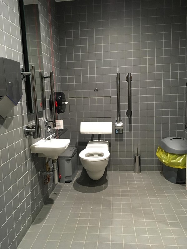 Accessible loo in GFT