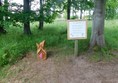 On the 'Fairy trail'