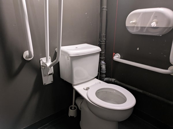 Image of toilet and grab rails