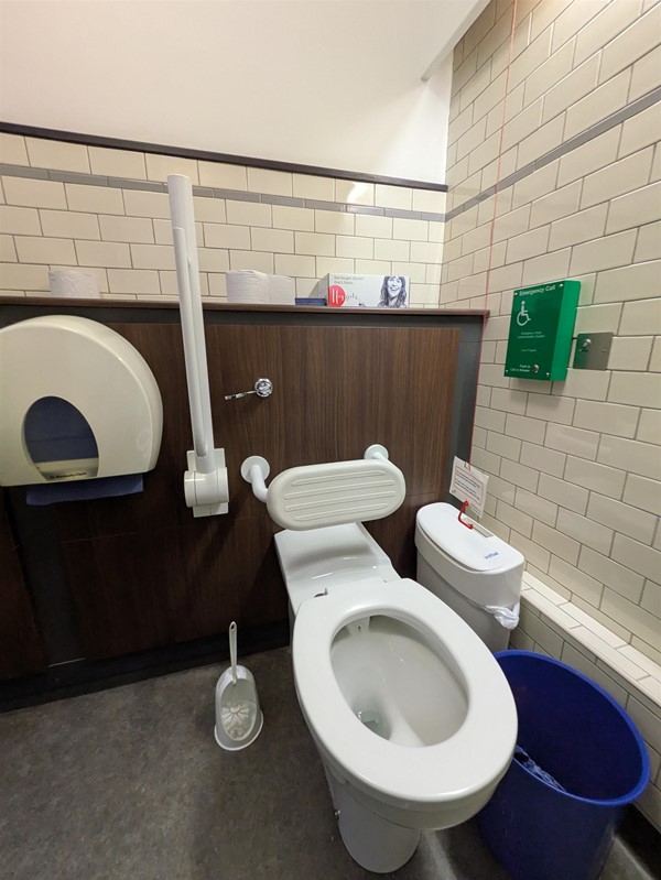 image of accessible toilet