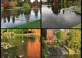 Some views of the autumn colours