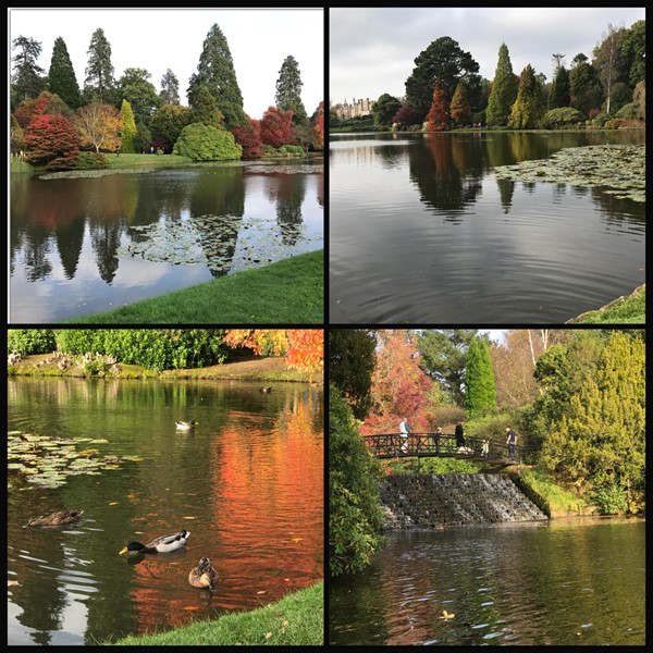 Some views of the autumn colours