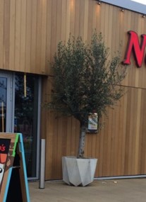 Nando's