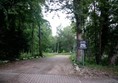 Picture of The Kinema in the Woods