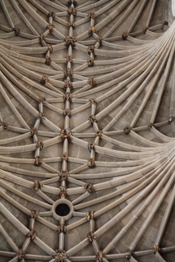 Vaulting in cathedral showing roof bosses