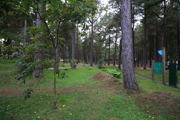 Roseisle Forest