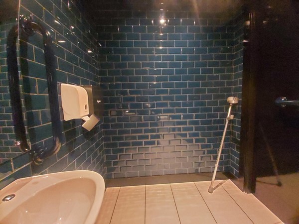 The Garden Cinema, London accessible toilet