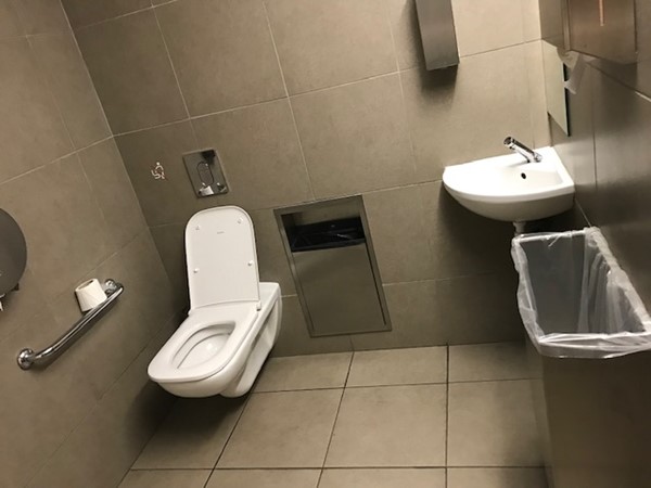 Image of an accessible toilet