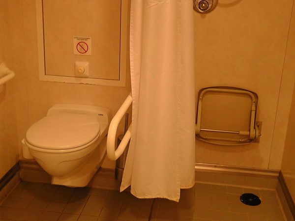 Accessible toilet