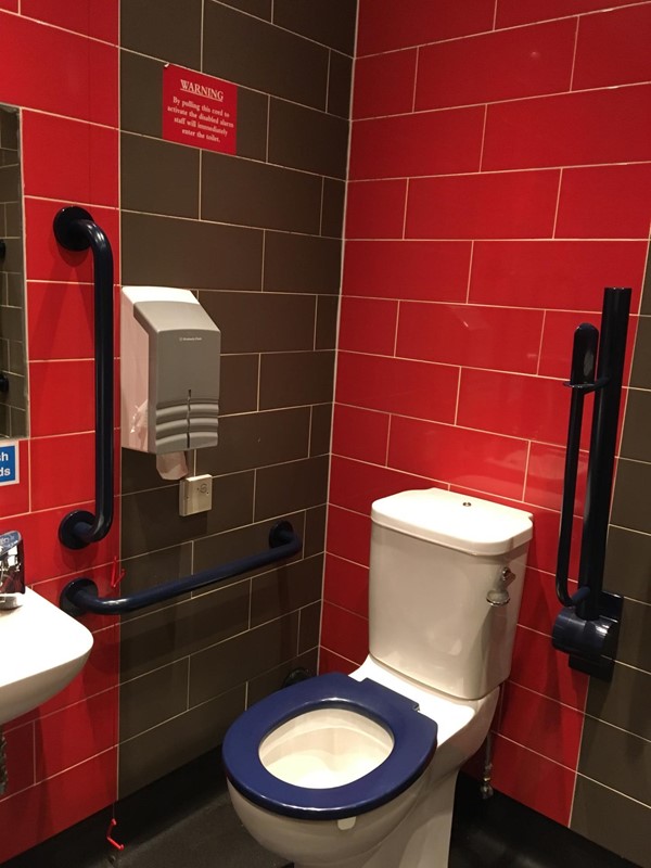 Accessible loo