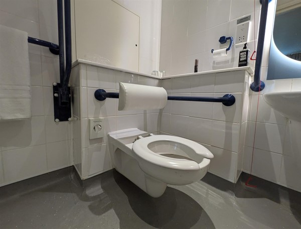 image of accessible toilet