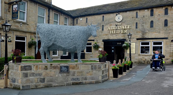 The Airedale Heifer