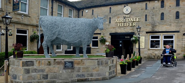 The Airedale Heifer