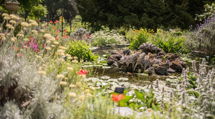 Chelsea Physic Garden