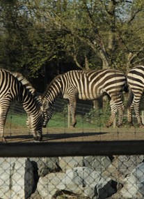 Greater Vancouver Zoo