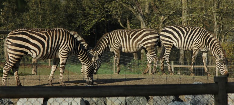 Greater Vancouver Zoo