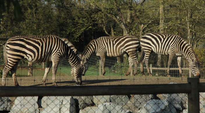 Greater Vancouver Zoo