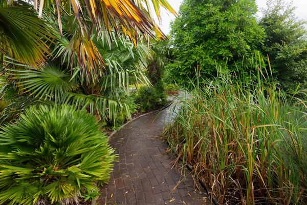 Good paths