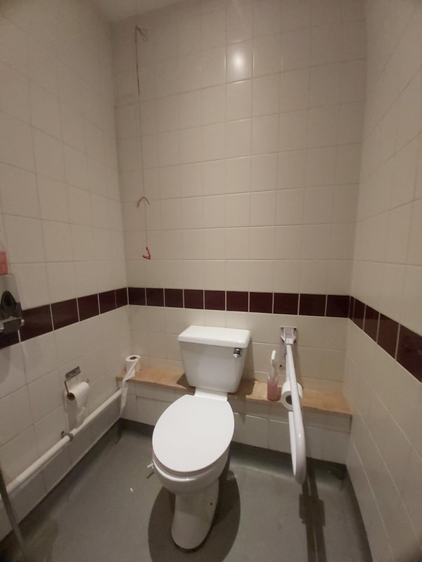 Image of an accessible toilet