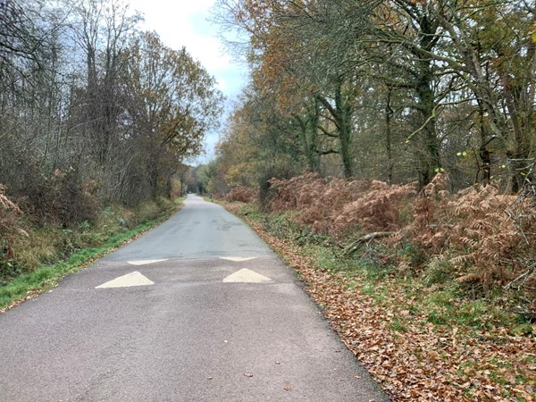 10 scenic driveway
