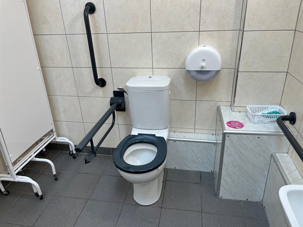 Image of the accessible toilet