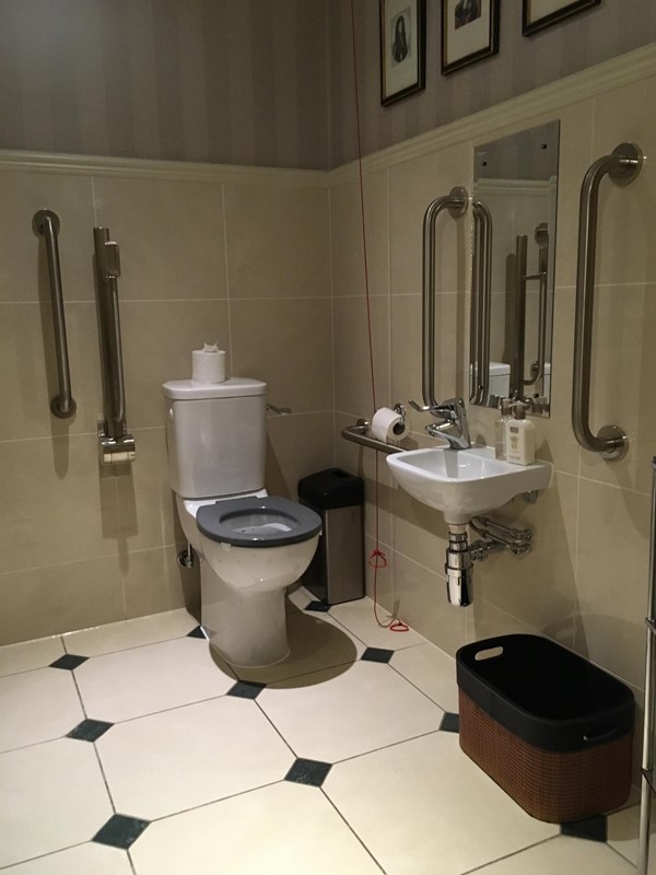 Accessible loo