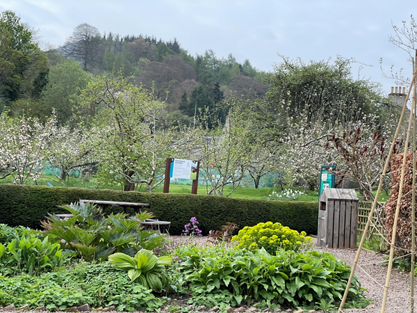 Priorwood Garden and the view across the vegetables toward the apple orchard in the distance