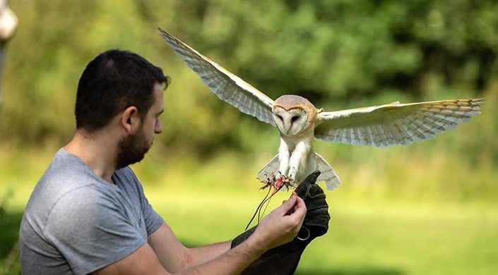 World of Wings Birds of Prey Centre