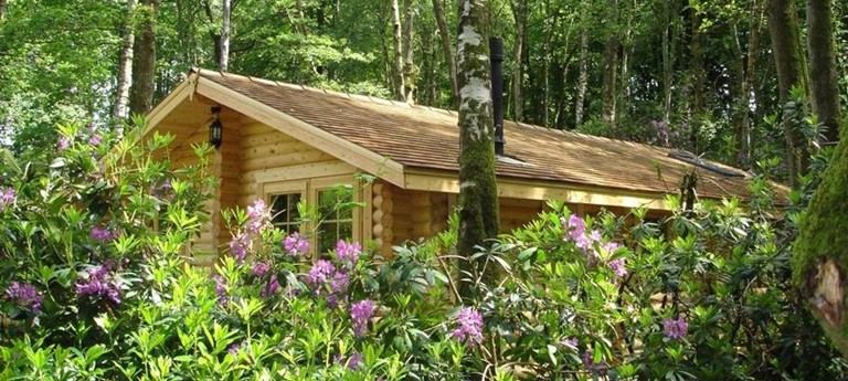 Alpine Grove Woodland Park