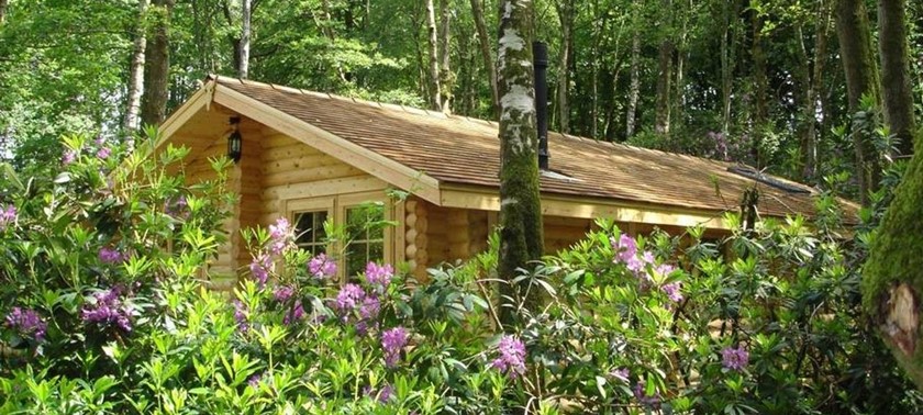 Alpine Grove Woodland Park
