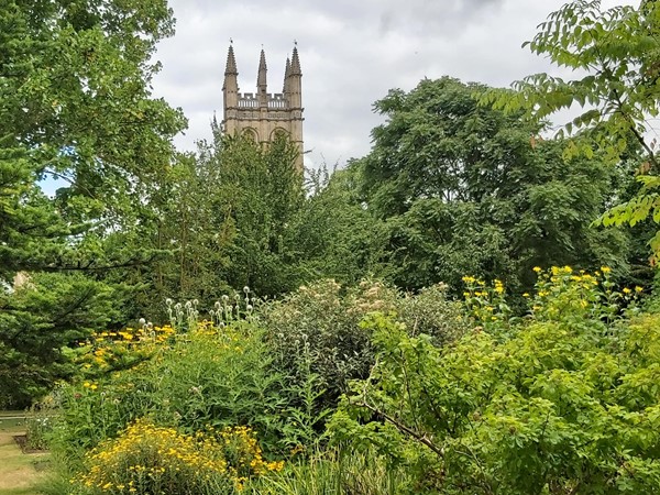 Garden with church in the background