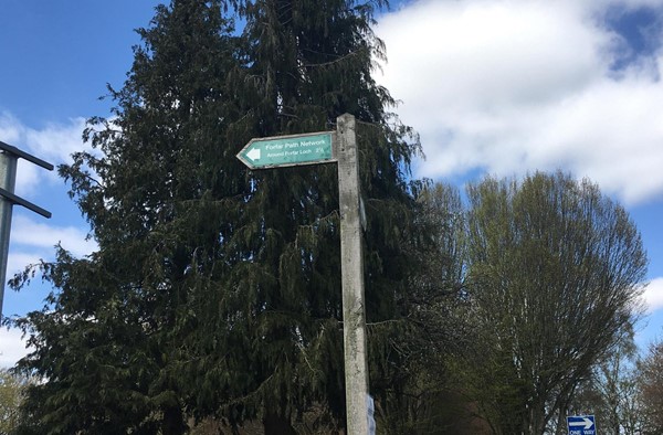 Image of an arrow sign pointing you in the direction of the Forfar Loch saying the pathway walk is two and a half miles.