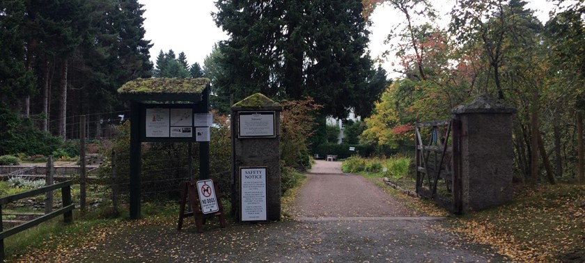 The Potting Shed Tearoom & Inshriach Garden