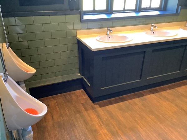 The toilets are plain simple ladies and gents