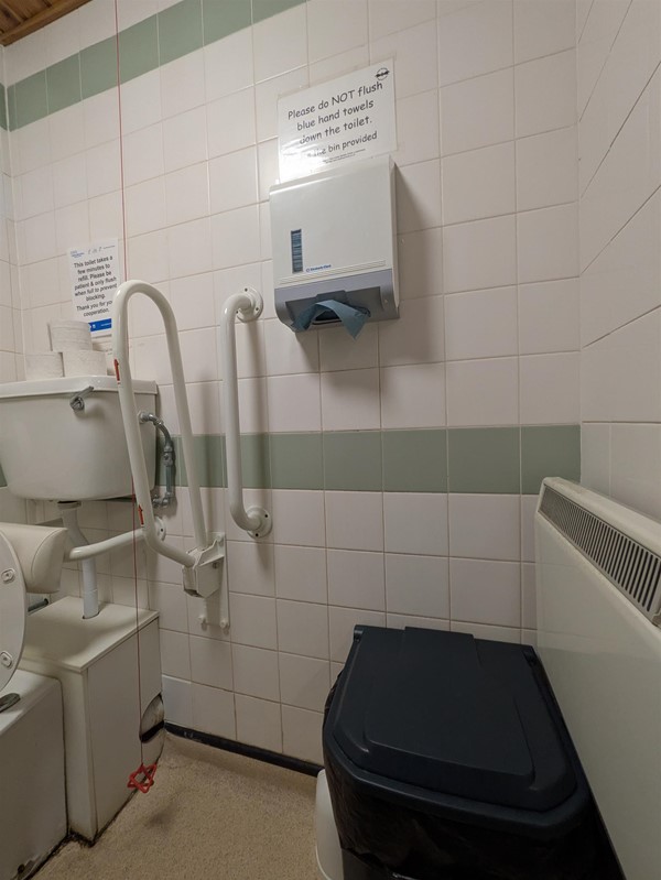 Image of bin in the transfer space of the accessible toilet
