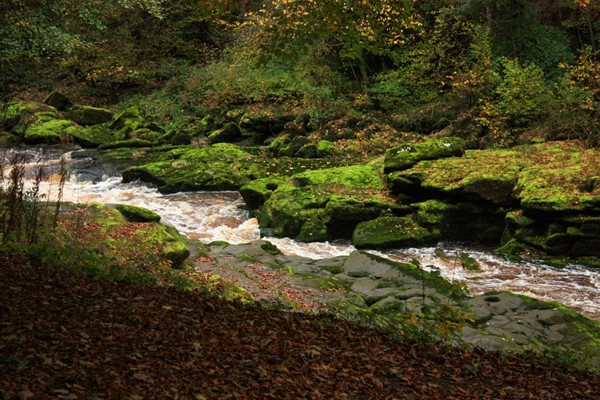 The Strid, which looks quite harmless and pretty but has a 100% death rate for anyone who goes in.