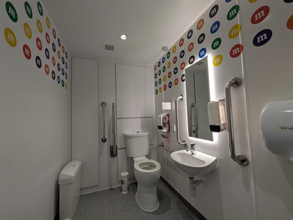 Image of accessible toilet