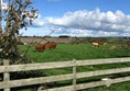 Another view at Ropers Walk Barns