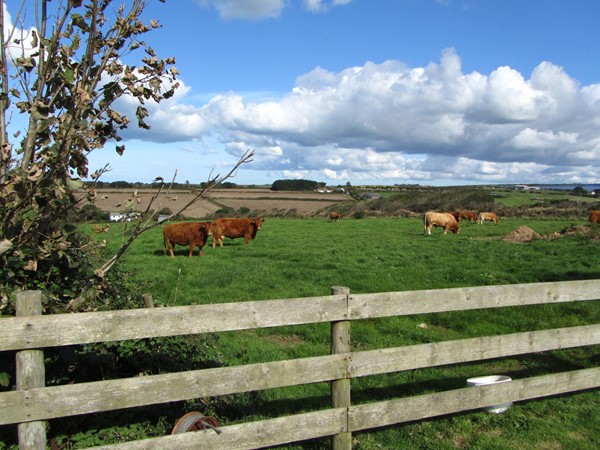 Another view at Ropers Walk Barns