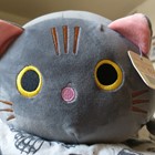 Cov_Cat