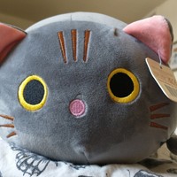 Profile image for Cov_Cat