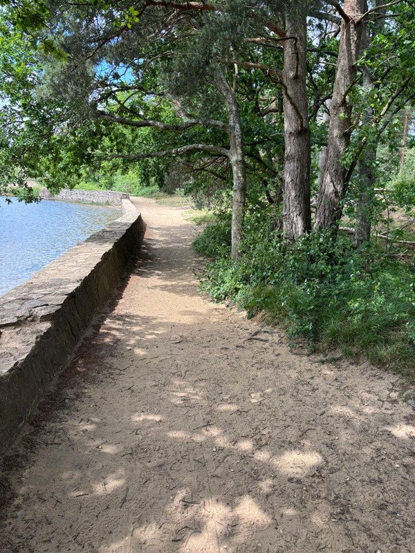 Image of a pathway