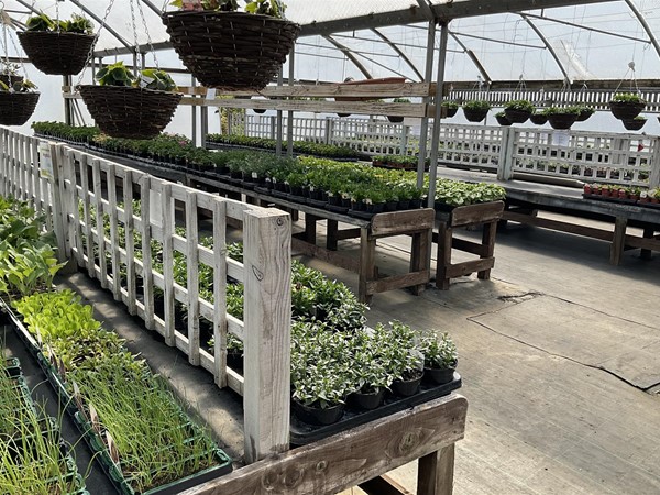 Image of a garden centre interior