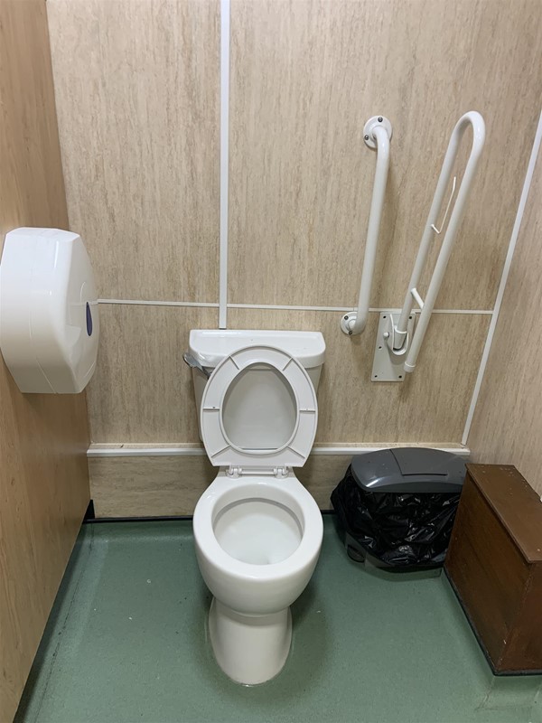 Image of a toilet and grab rails