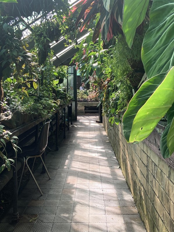 Image of a corridor inside the greenhouse. There are plants on either side. The planter on the right is bordered by a medium-height brick wall. The planter on the left has space underneath and a molded-plastic chair is tucked in.