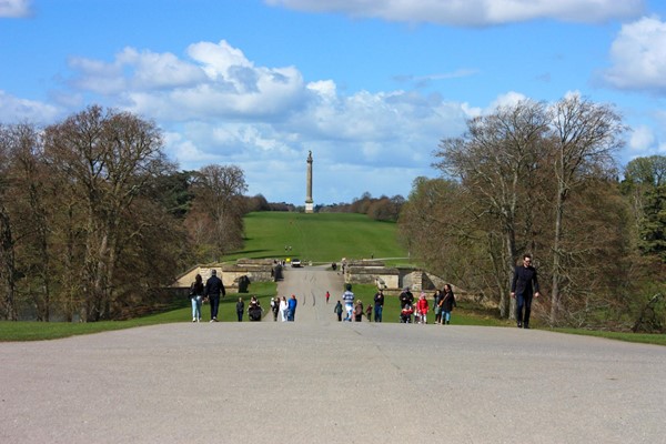 Road from palace to parkland with hill going down but nice tarmac surface.
